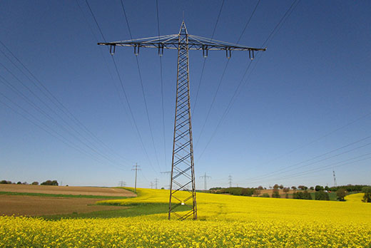 The President Calls for Strengthening Rural Broadband Connectivity