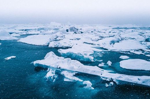 The Submarine Cable of the Arctic